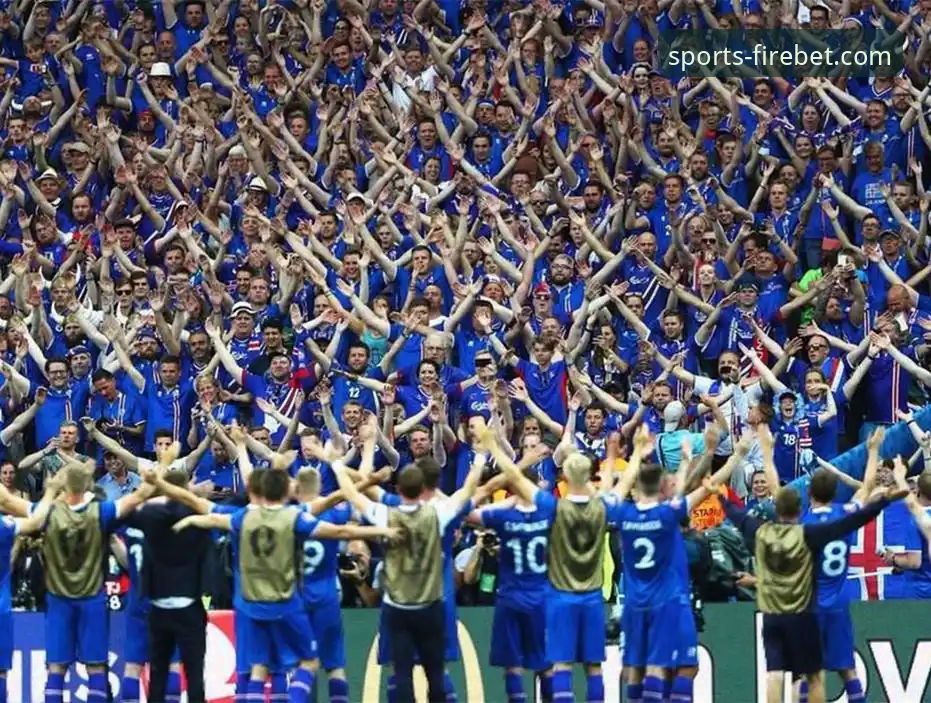 揭秘民主刚果52年重返世界杯背后的惊险历程与数据洞察